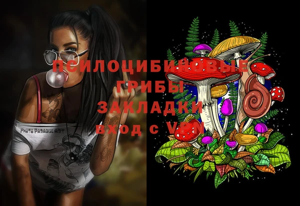 гидра Осташков