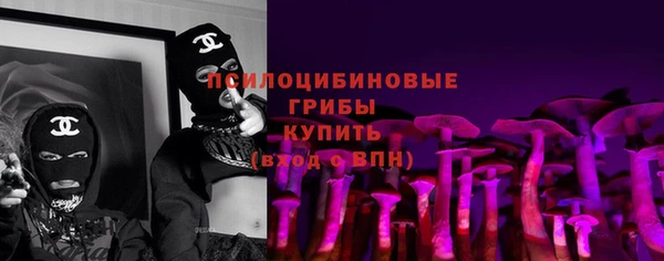 ПСИЛОЦИБИНОВЫЕ ГРИБЫ Абдулино
