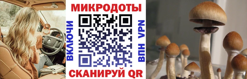 блэк спрут онион  хочу наркоту  Мамадыш  Псилоцибиновые грибы Psilocybe 